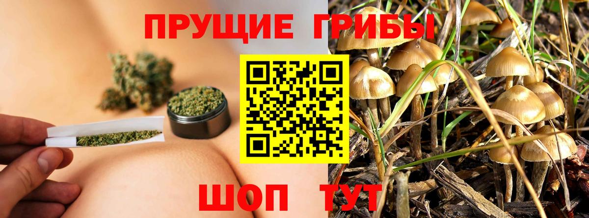 Псилоцибиновые грибы MAGIC MUSHROOMS  Вход с VPN  Жигулёвск 
